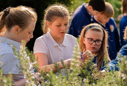 Three young school girls looking at plants at the Eden Project